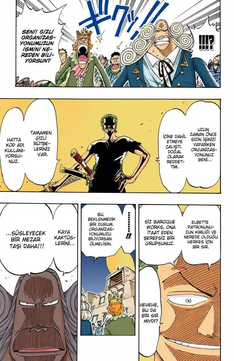 One Piece [Renkli] - Sayfa 14