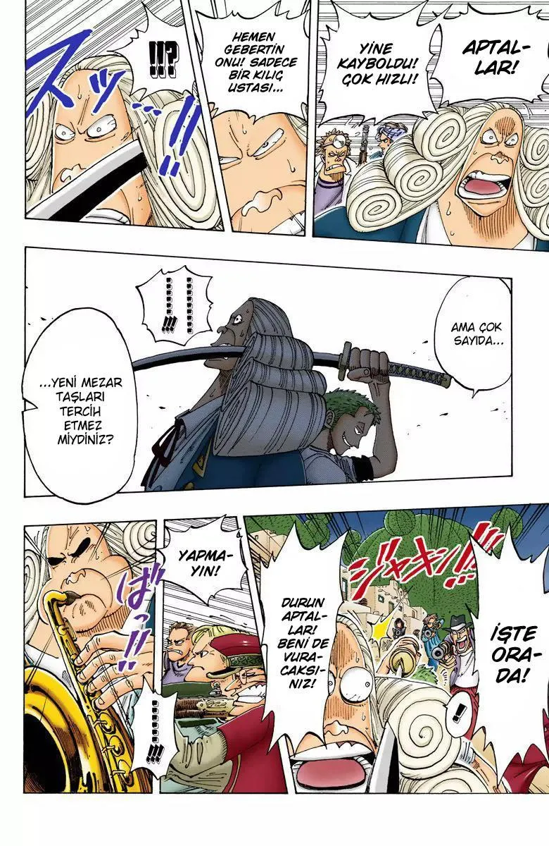 One Piece [Renkli] - Sayfa 17