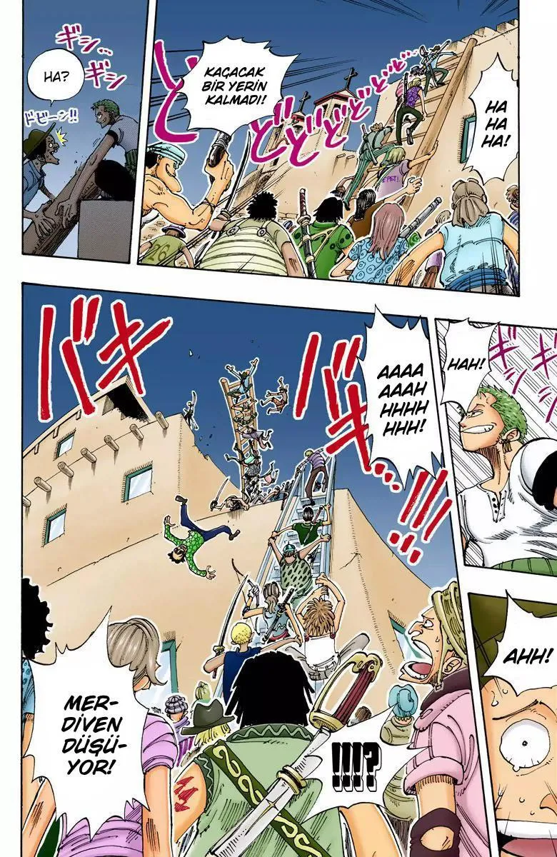 One Piece [Renkli] - Sayfa 13