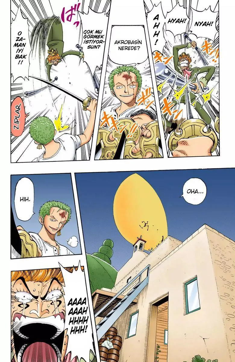 One Piece [Renkli] - Sayfa 9