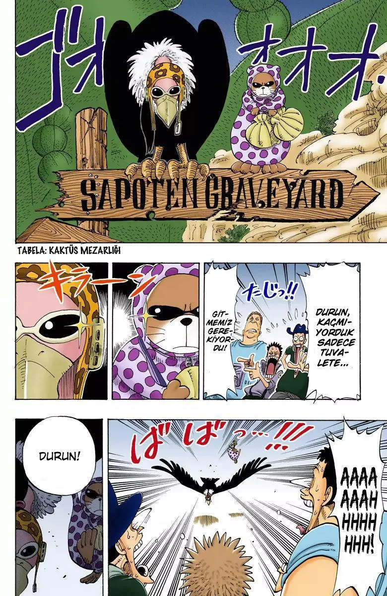 One Piece [Renkli] - Sayfa 5