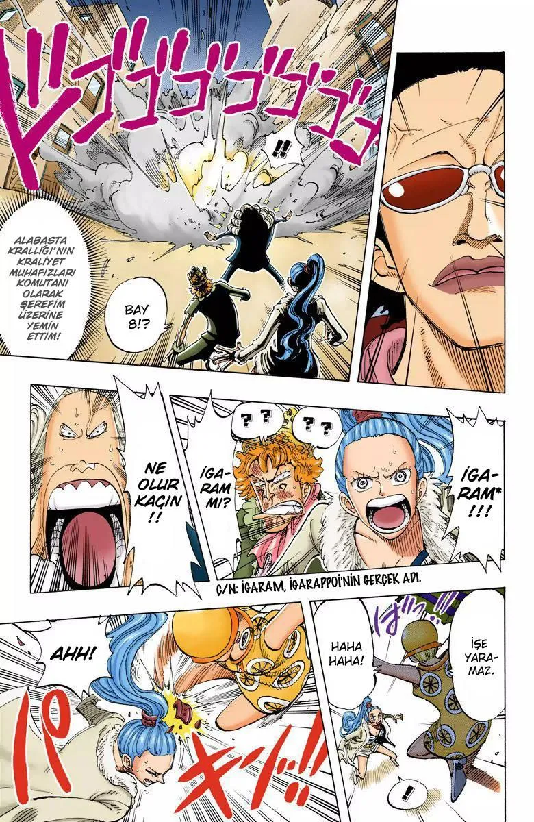 One Piece [Renkli] - Sayfa 14