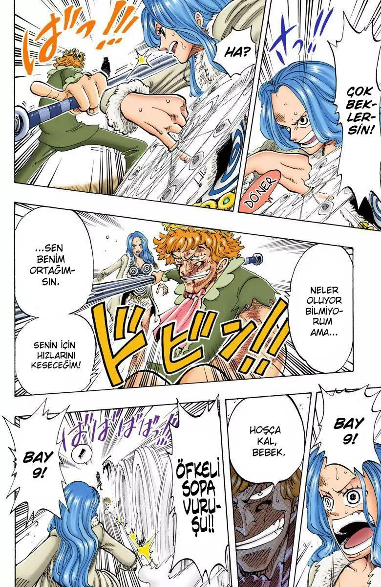 One Piece [Renkli] - Sayfa 17