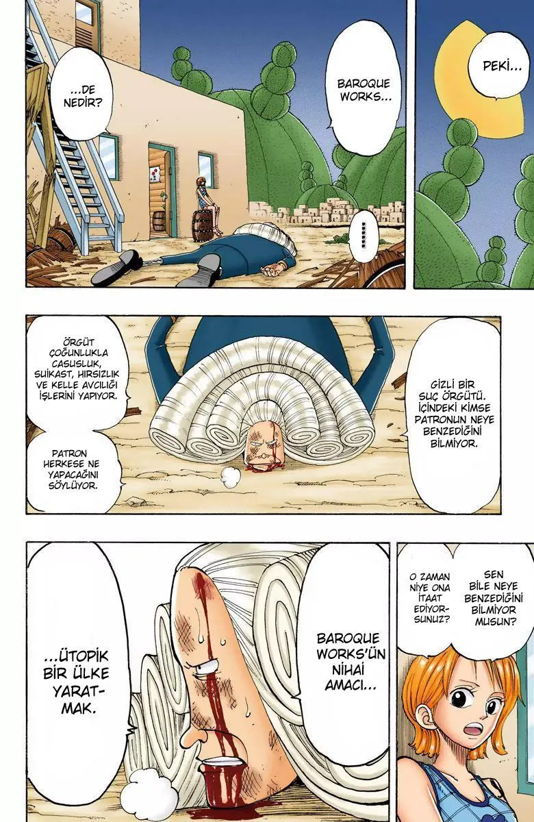 One Piece [Renkli] - Sayfa 15