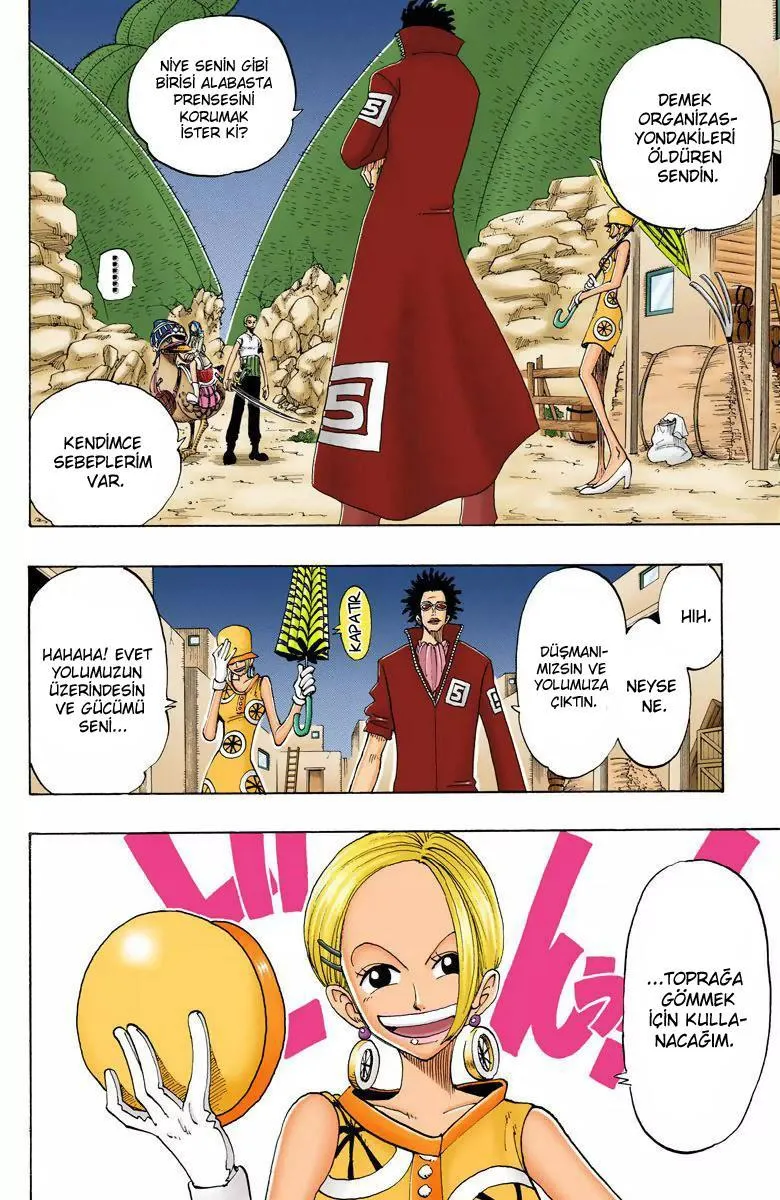 One Piece [Renkli] - Sayfa 17