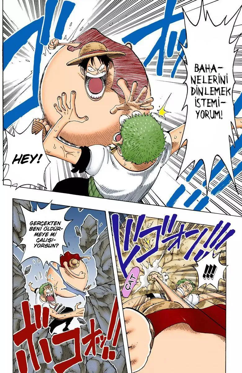 One Piece [Renkli] - Sayfa 5