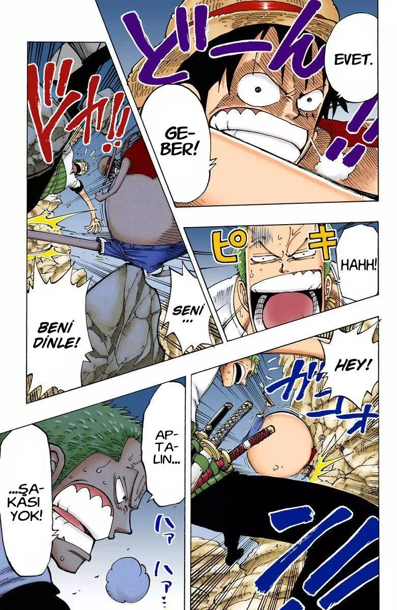 One Piece [Renkli] - Sayfa 6