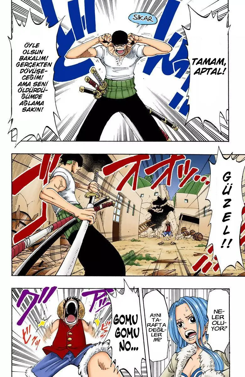 One Piece [Renkli] - Sayfa 13