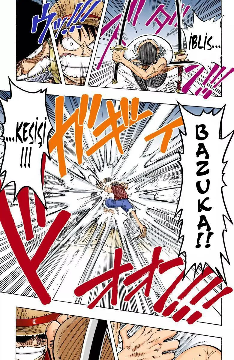 One Piece [Renkli] - Sayfa 14