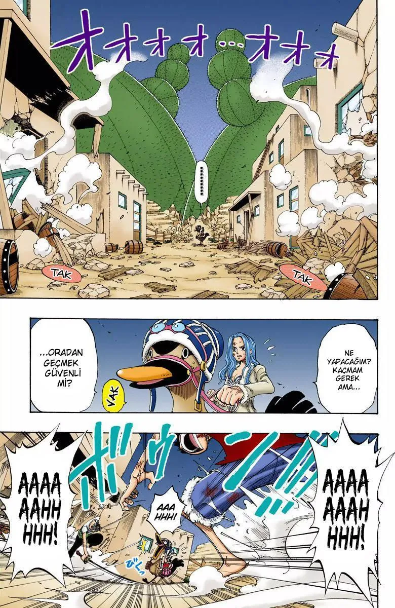 One Piece [Renkli] - Sayfa 16