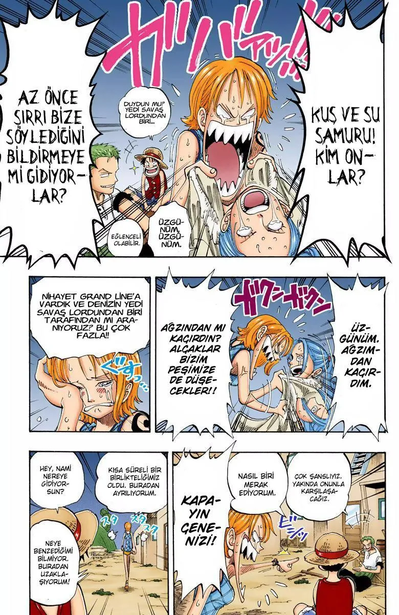 One Piece [Renkli] - Sayfa 12