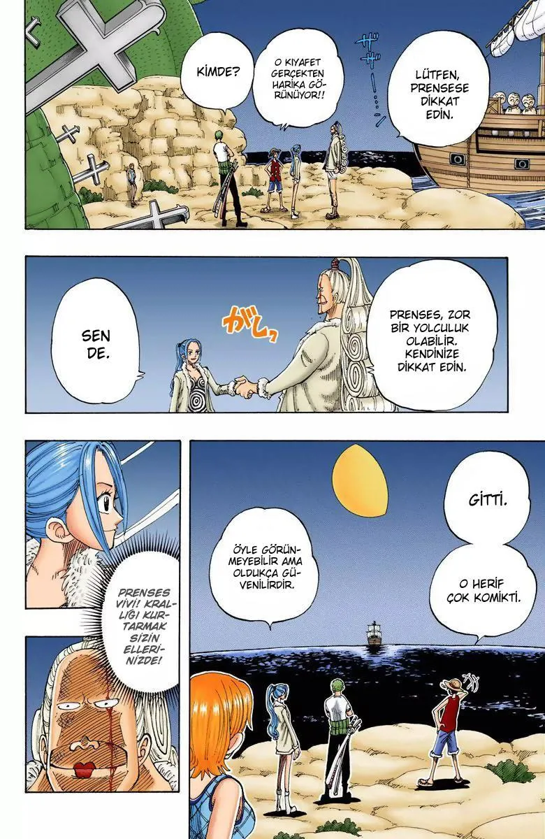 One Piece [Renkli] - Sayfa 17