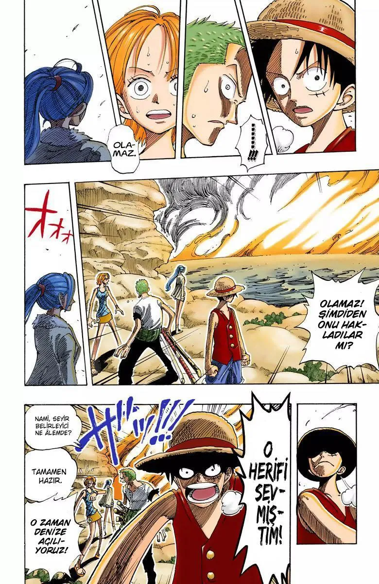 One Piece [Renkli] - Sayfa 19