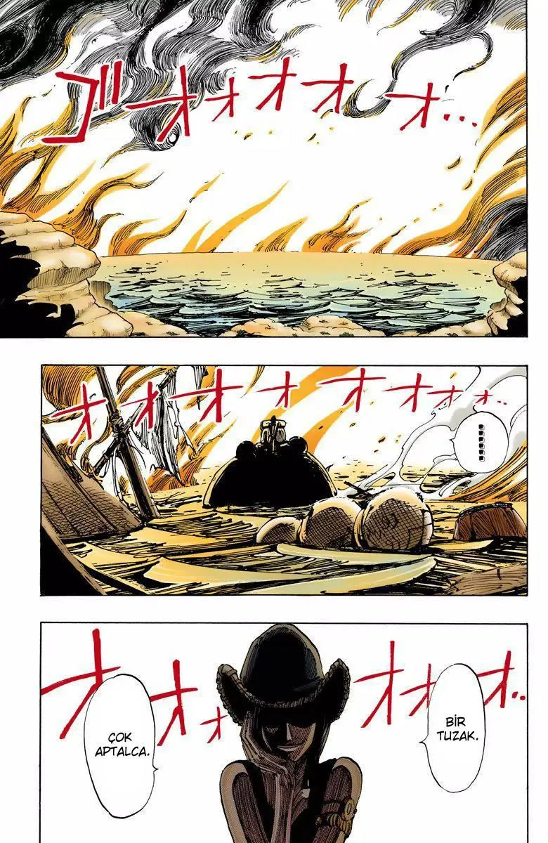 One Piece [Renkli] - Sayfa 6