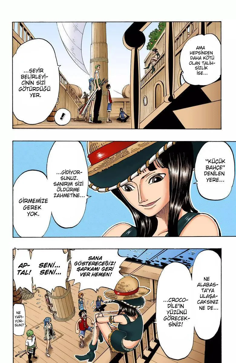 One Piece [Renkli] - Sayfa 15