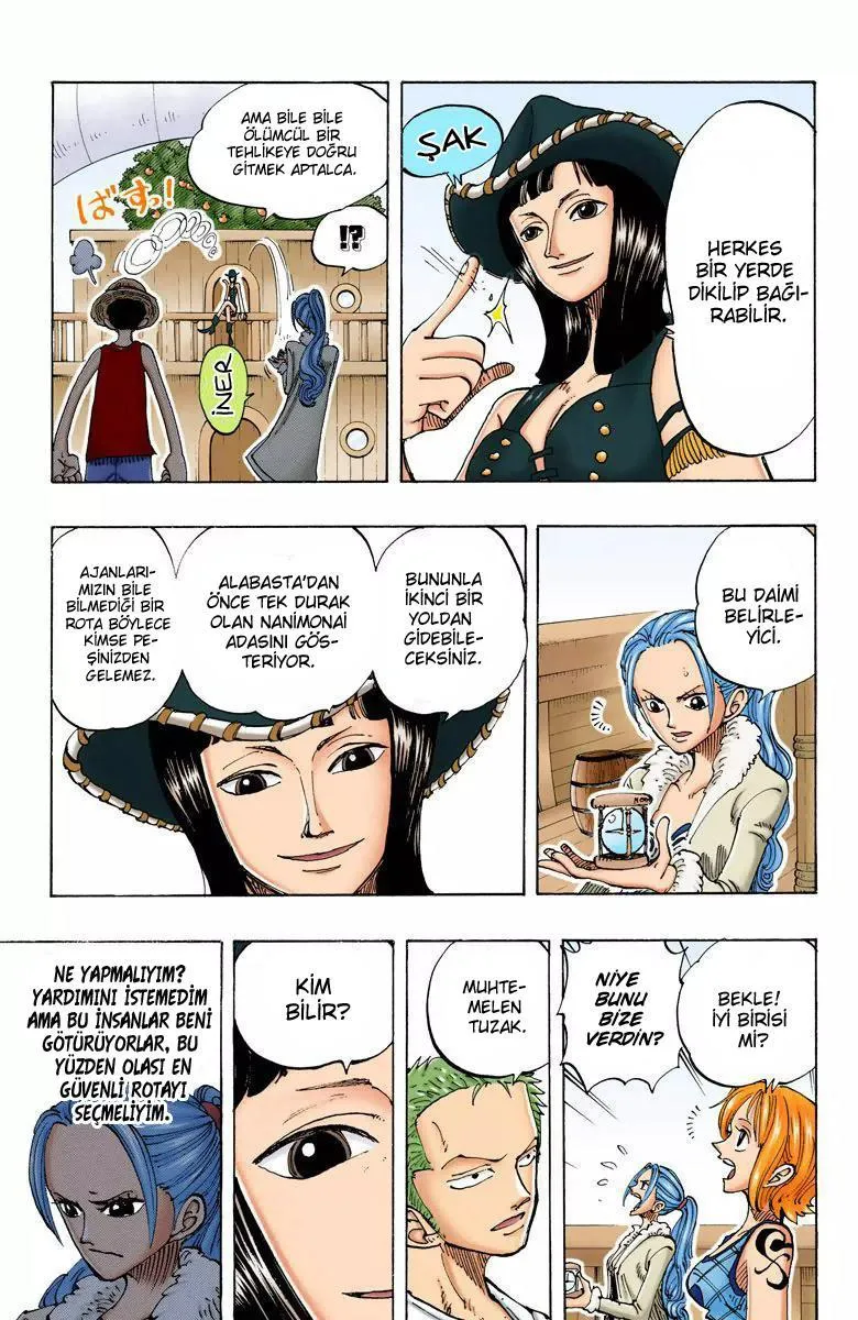 One Piece [Renkli] - Sayfa 16