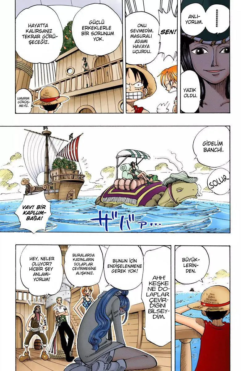 One Piece [Renkli] - Sayfa 18
