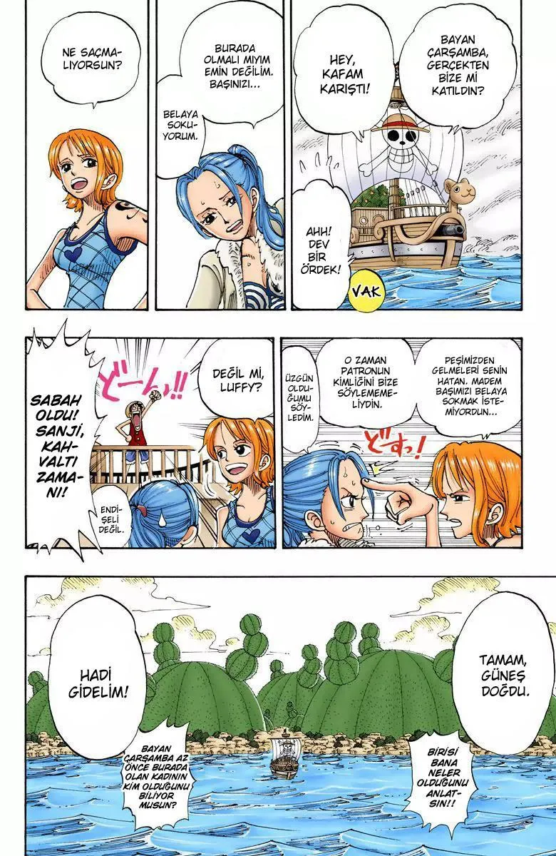 One Piece [Renkli] - Sayfa 19