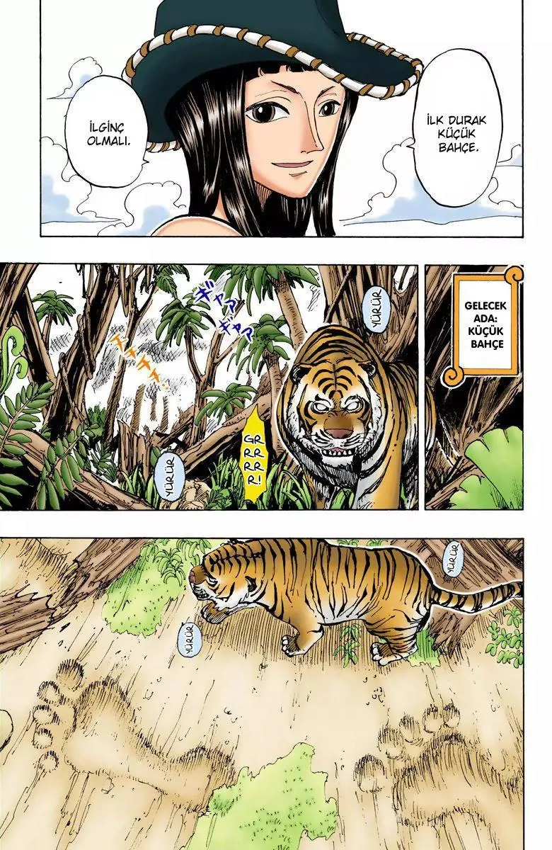 One Piece [Renkli] - Bölüm 0114 - Sayfa 20