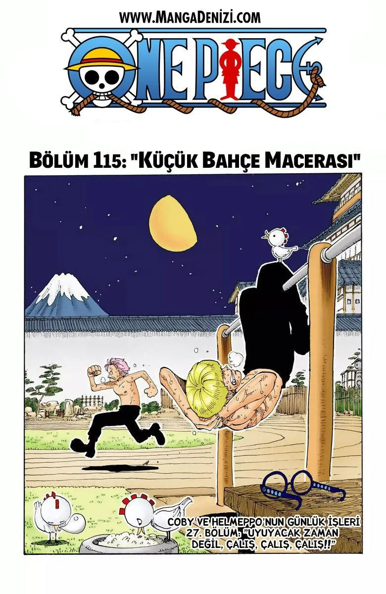 One Piece [Renkli] - Sayfa 3