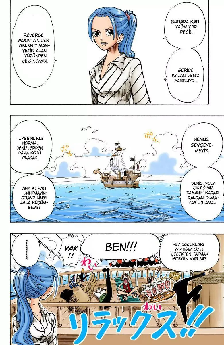 One Piece [Renkli] - Sayfa 4