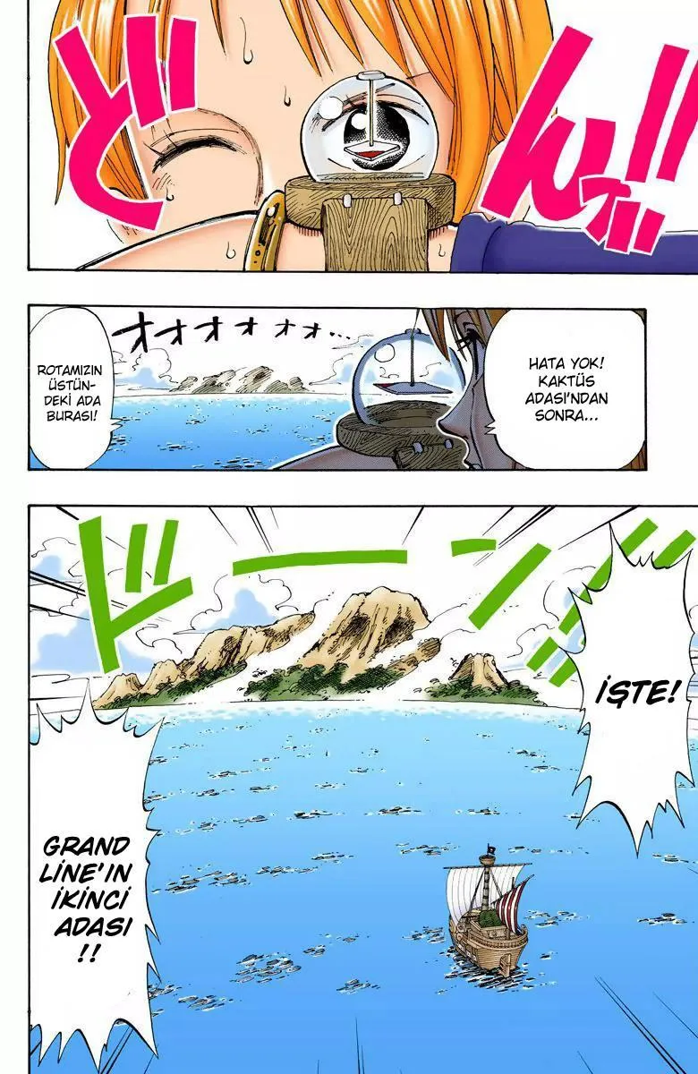 One Piece [Renkli] - Sayfa 8