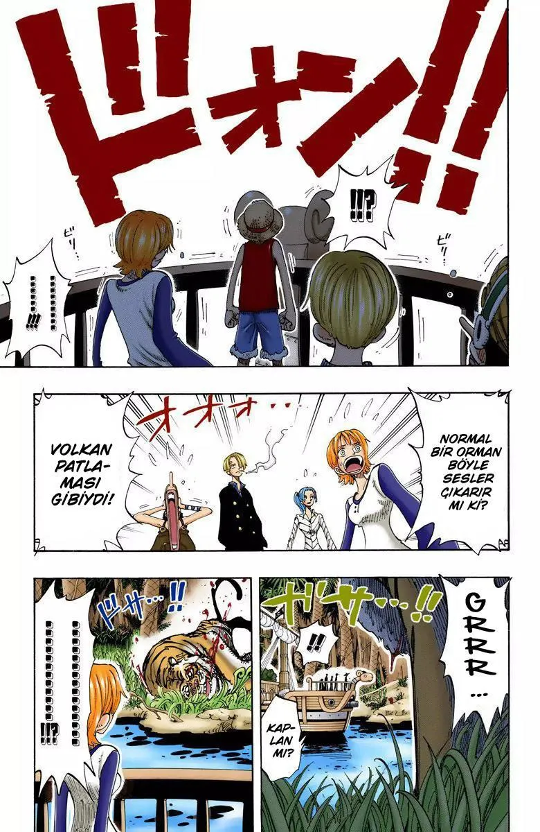 One Piece [Renkli] - Sayfa 11