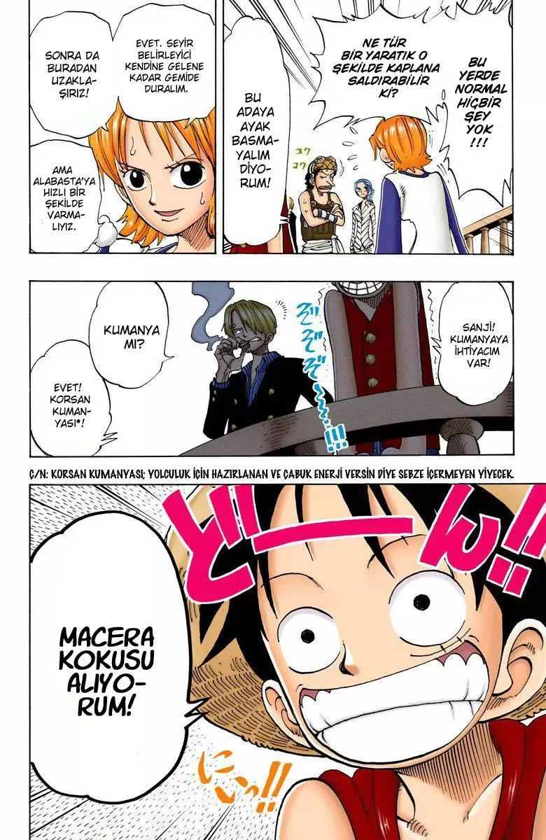 One Piece [Renkli] - Sayfa 12