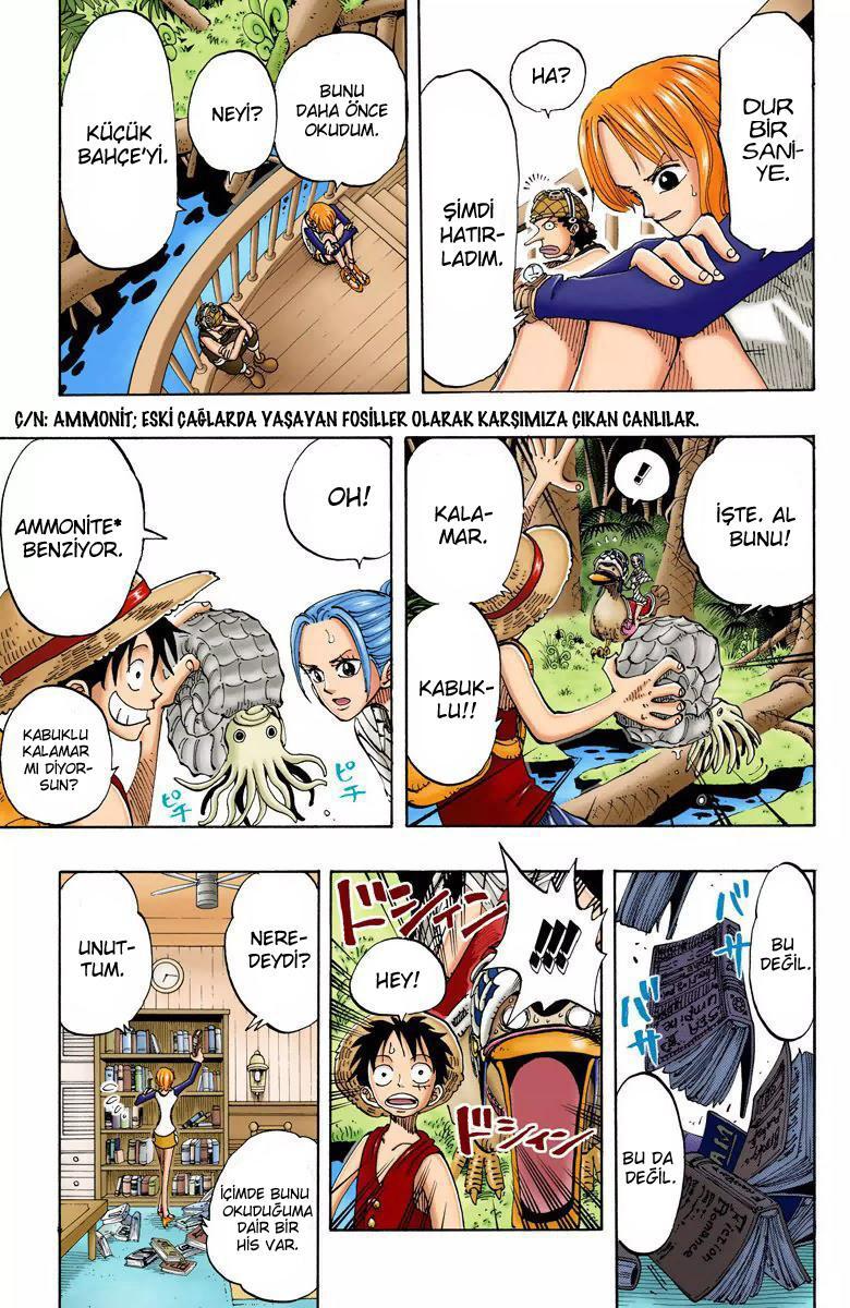 One Piece [Renkli] mangasının 0115 bölümünün 17. sayfasını okuyorsunuz.