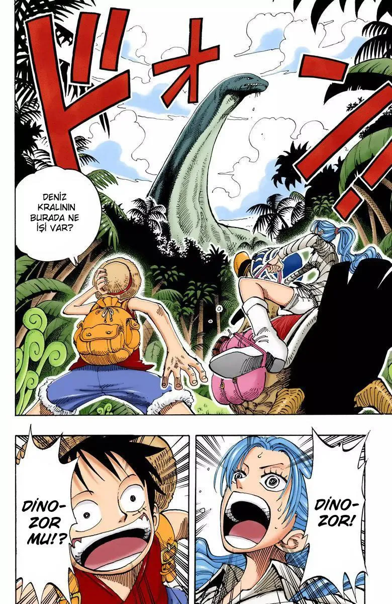 One Piece [Renkli] - Bölüm 0115 - Sayfa 18