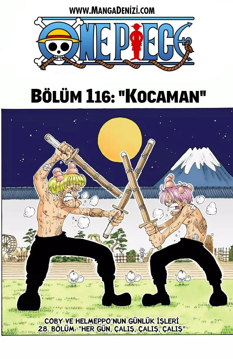 One Piece [Renkli] - Sayfa 2