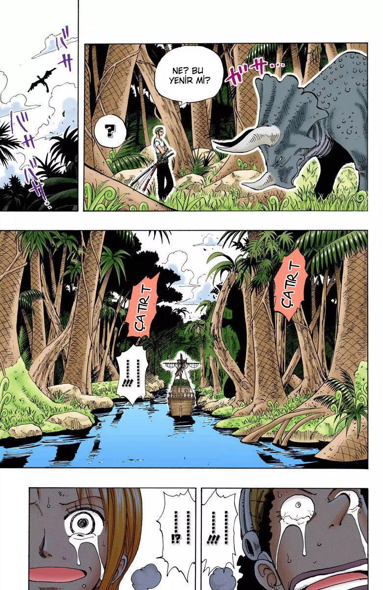 One Piece [Renkli] mangasının 0116 bölümünün 4. sayfasını okuyorsunuz.