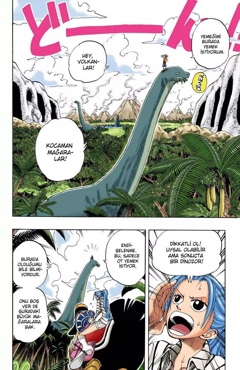 One Piece [Renkli] - Sayfa 9