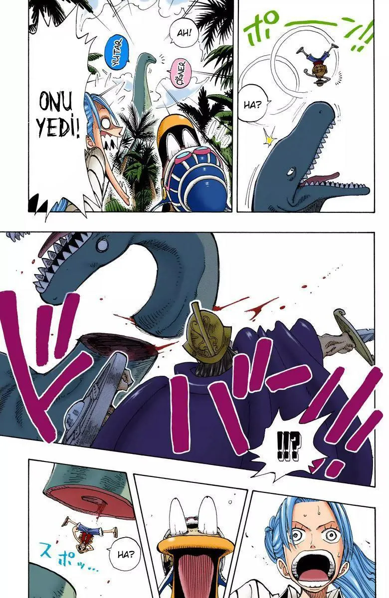 One Piece [Renkli] - Sayfa 10