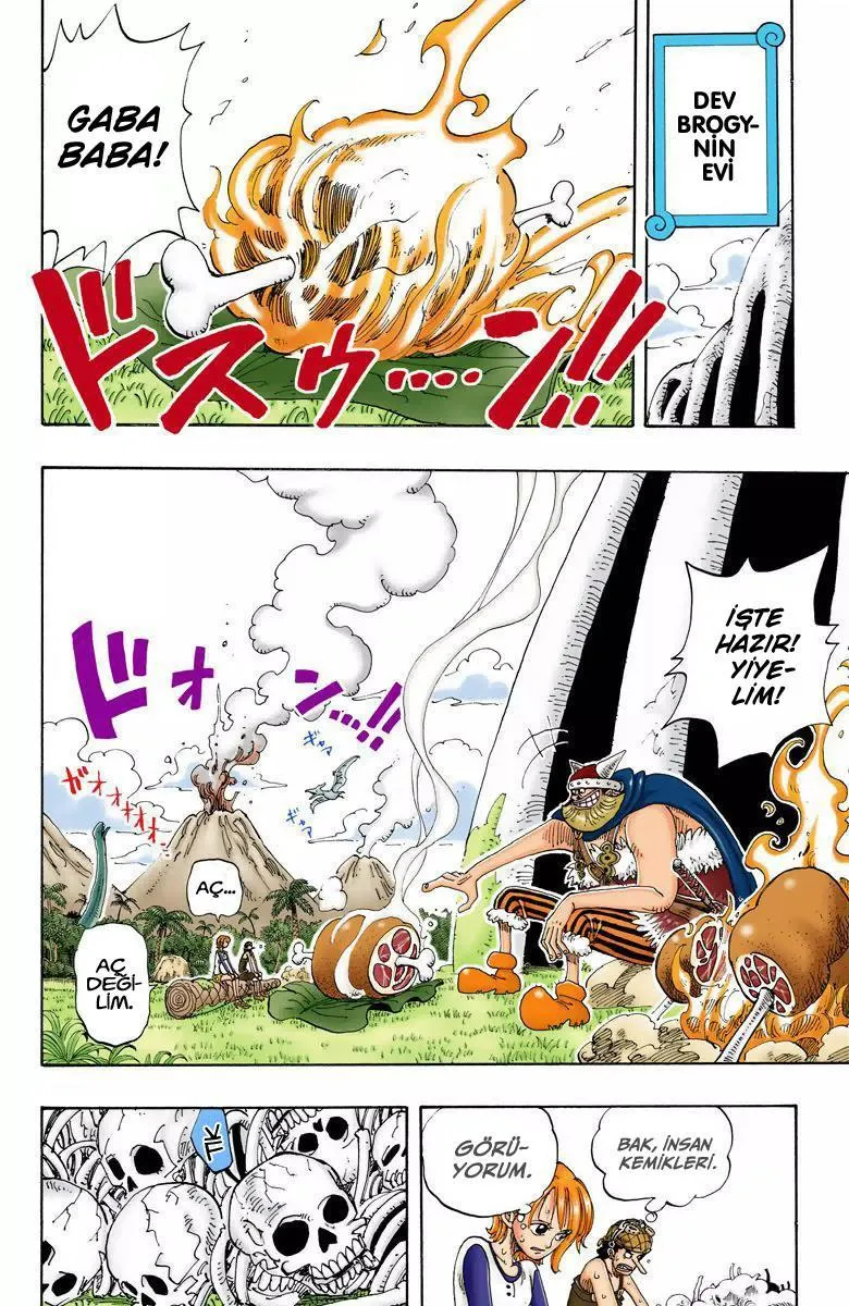 One Piece [Renkli] - Sayfa 13