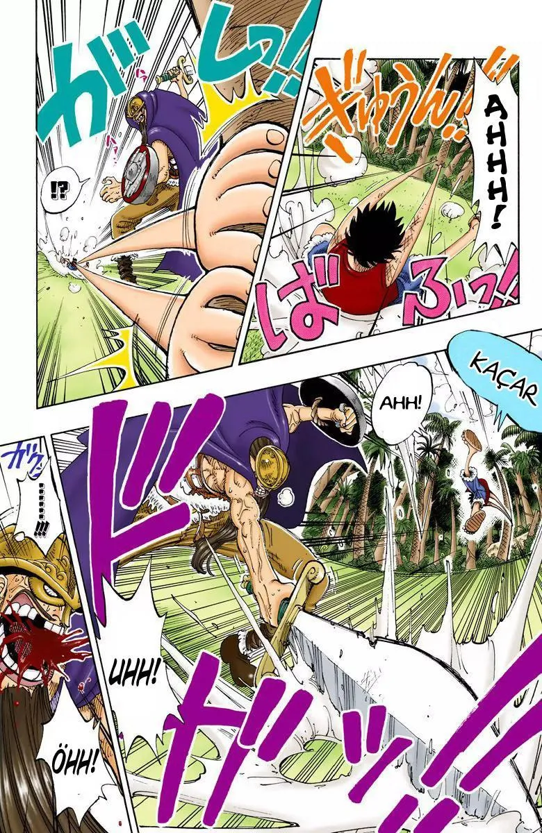 One Piece [Renkli] - Sayfa 6