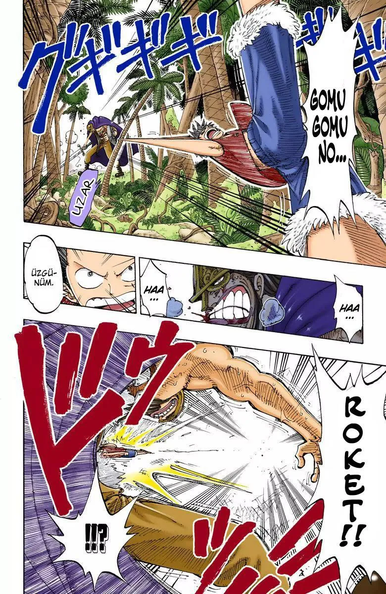 One Piece [Renkli] - Sayfa 7