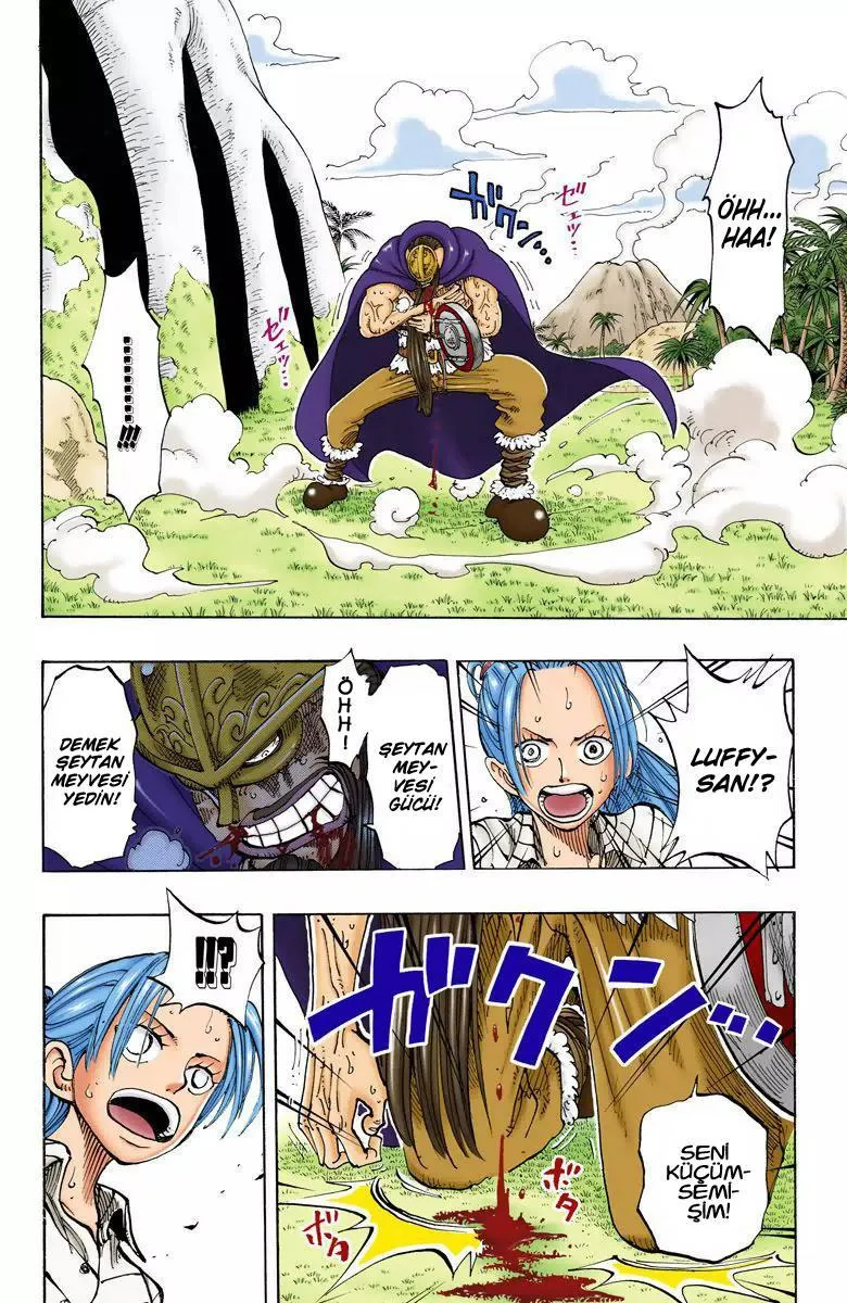 One Piece [Renkli] - Sayfa 9