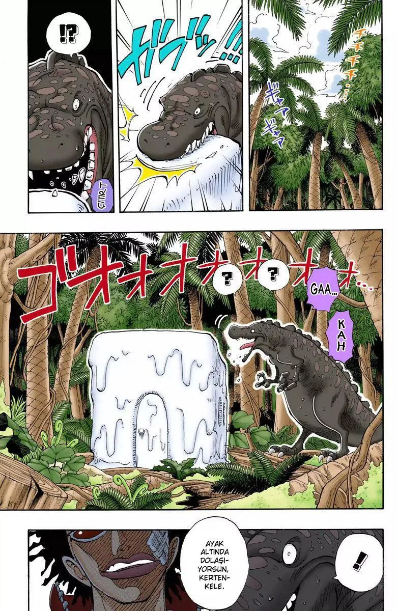 One Piece [Renkli] - Sayfa 12