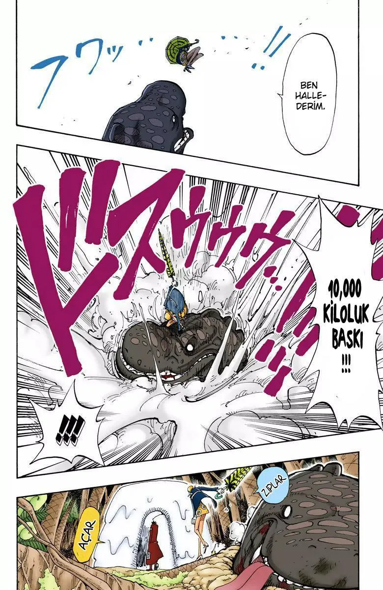 One Piece [Renkli] - Sayfa 13