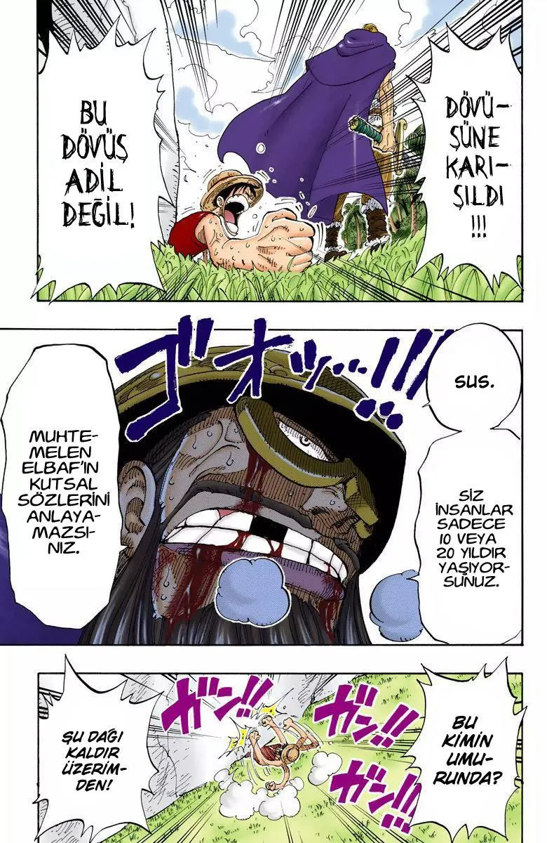 One Piece [Renkli] - Sayfa 8