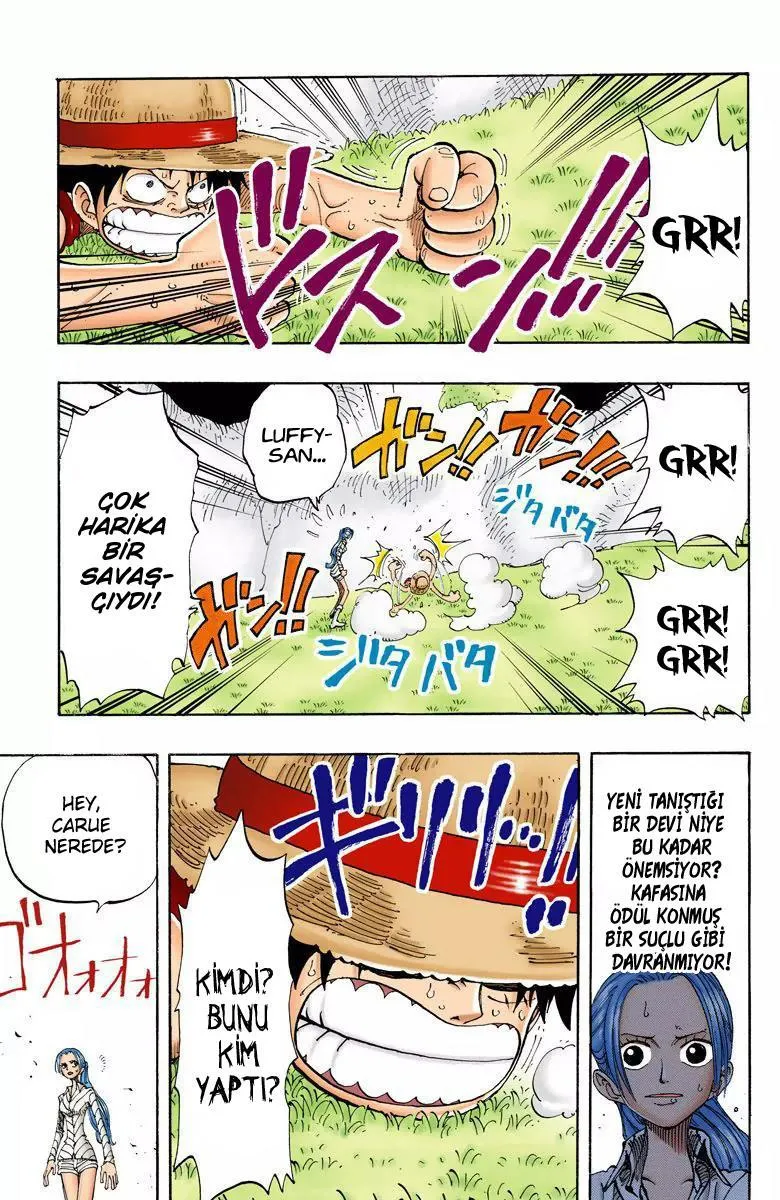 One Piece [Renkli] - Sayfa 10