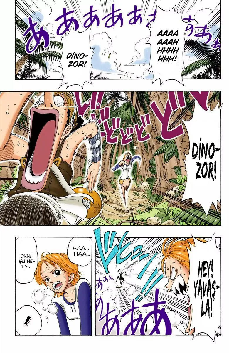 One Piece [Renkli] - Sayfa 14