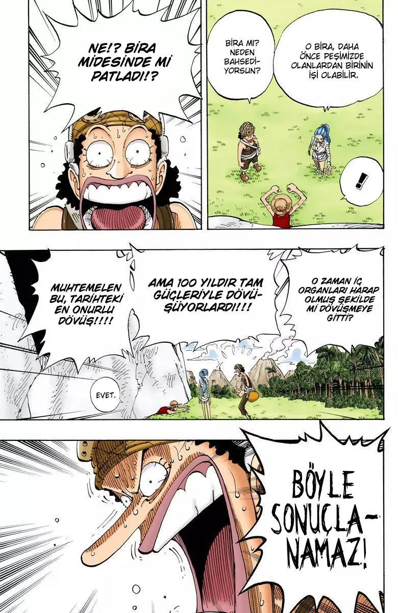 One Piece [Renkli] - Sayfa 18