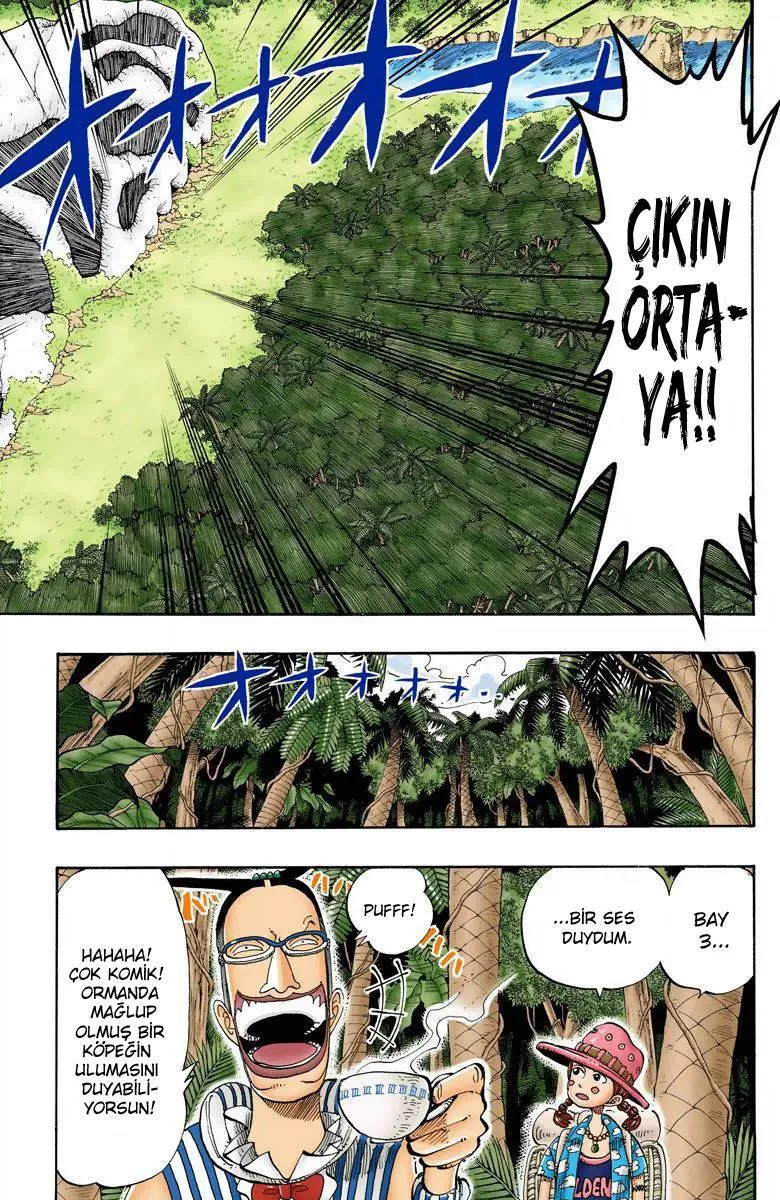 One Piece [Renkli] - Sayfa 8