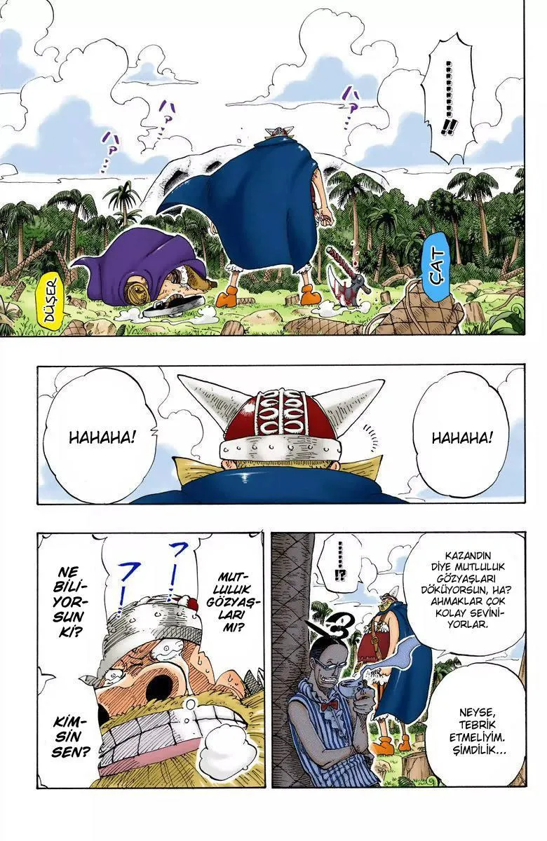 One Piece [Renkli] - Sayfa 10