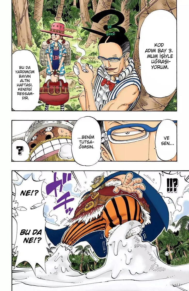 One Piece [Renkli] - Sayfa 11