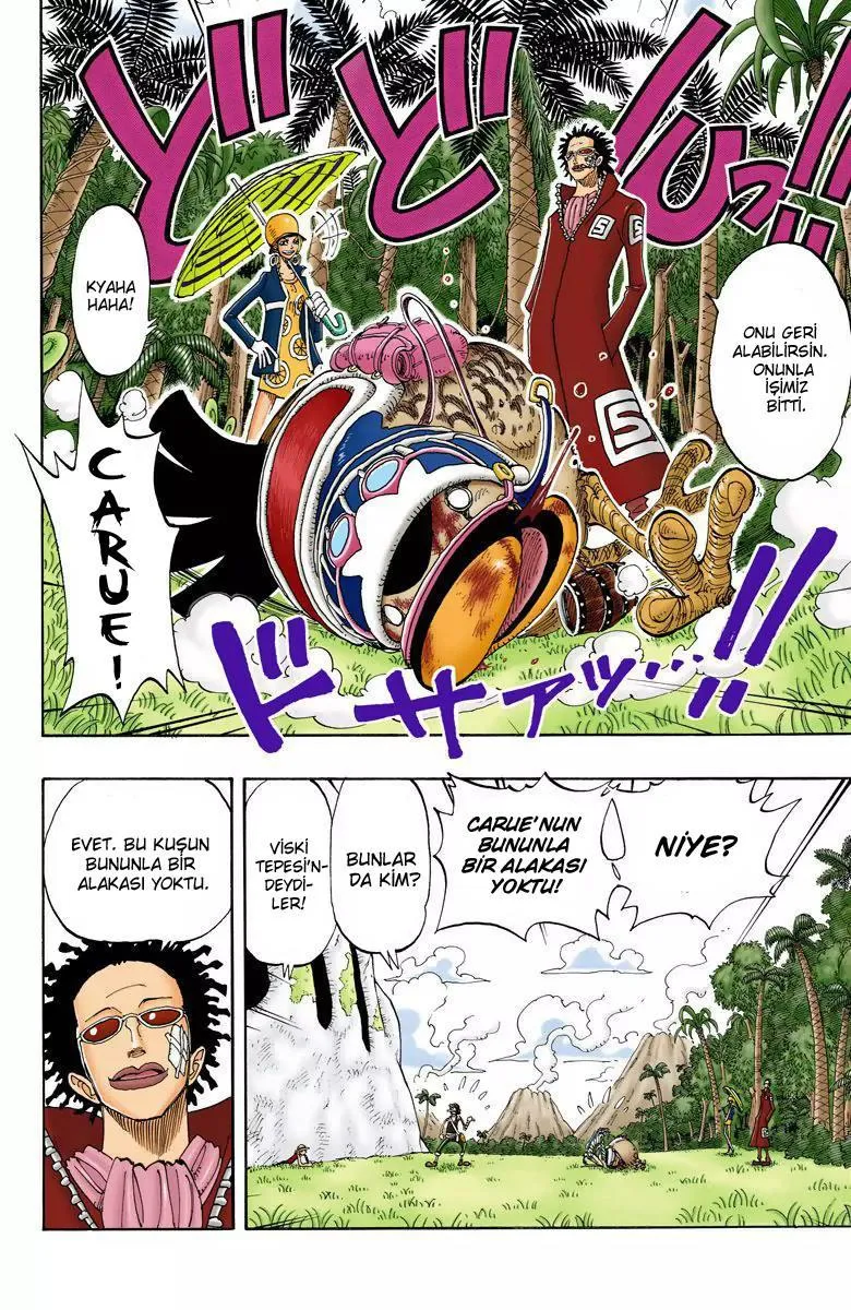 One Piece [Renkli] - Sayfa 13