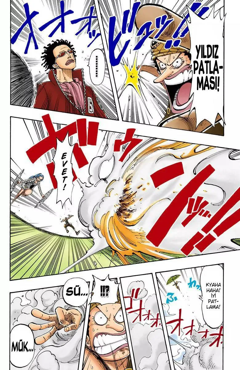 One Piece [Renkli] - Sayfa 17