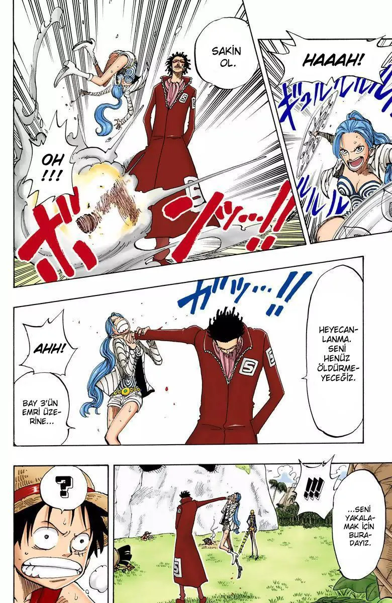 One Piece [Renkli] - Sayfa 19